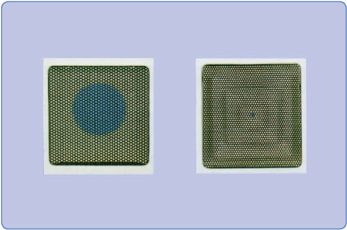 47152e4d4220c9243e64b41581c6bd4c_1625463494_0369.png